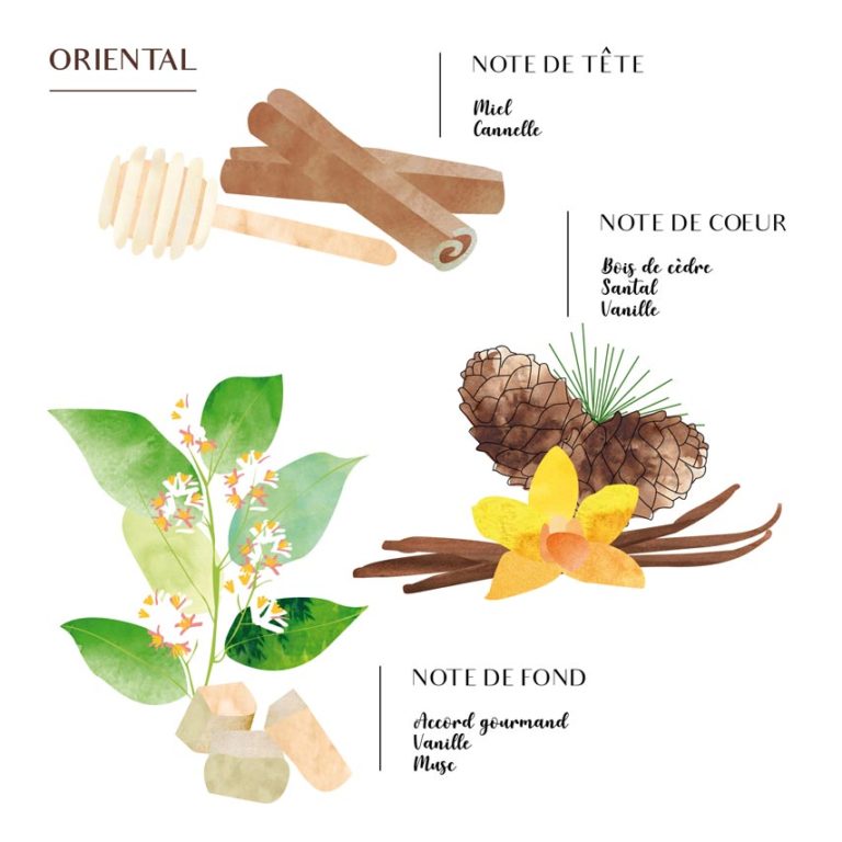 The Oriental Fragrance : Origin Of This Mythical Scent - Côté Bougie