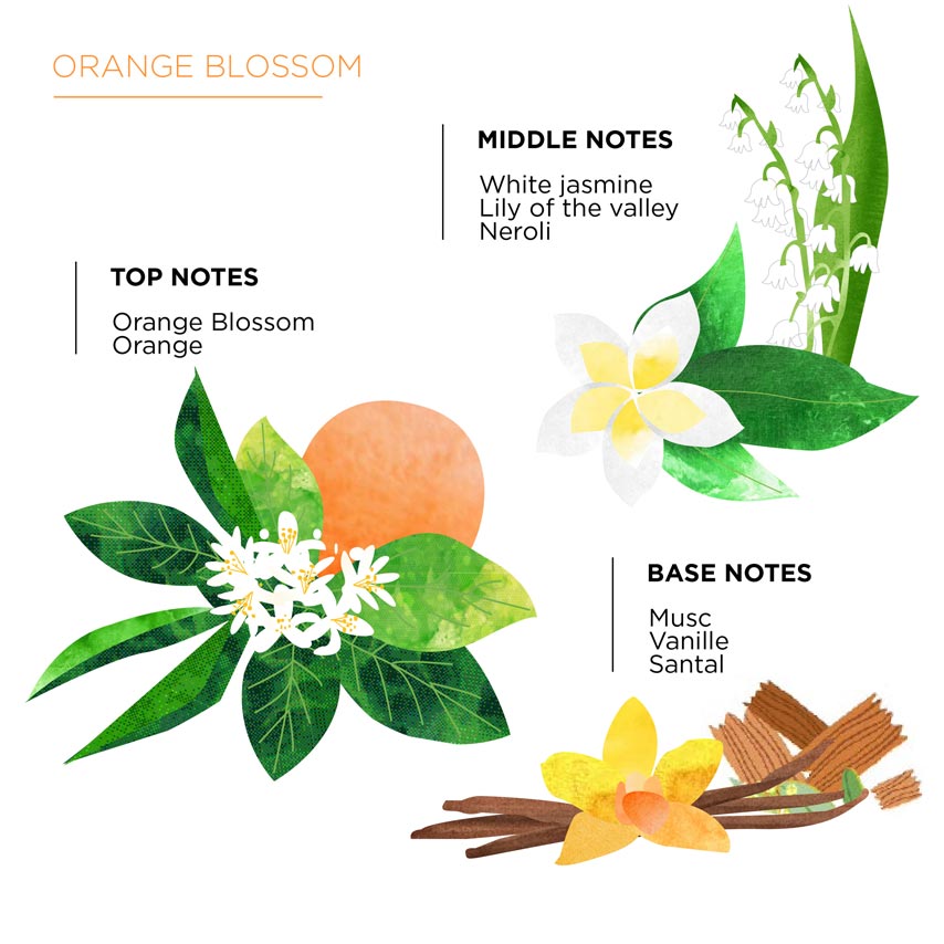 orange blossom perfume