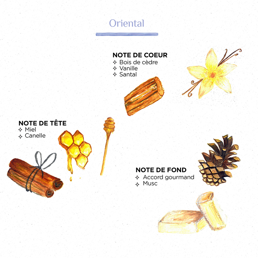 Pyramide olfactive Oriental