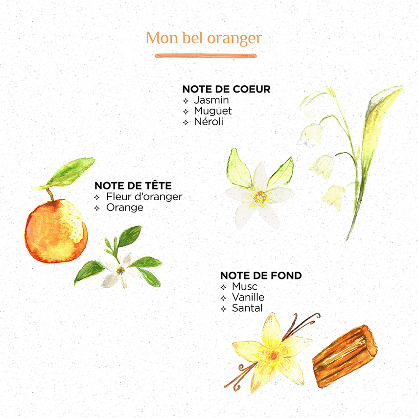 Pyramide olfactive Mon Bel Oranger